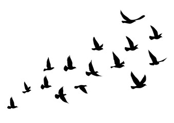 Flying birds silhouettes on white background. Vector illustration. isolated bird flying. tattoo design.