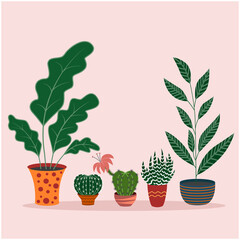 Set of home plants in different colored pots. Flat design. Floral design elements. Indoor plants vector illustartion.