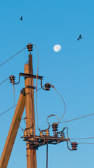 Electric pole with high-voltage wires and insulators and falcon birds soaring in the sky