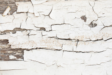 Wood texture with white peeled paint.