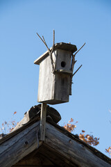 Wooden bird house on the roof