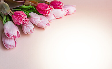 light pink tulips with dark pink tulips on a light background with space for inscriptions
