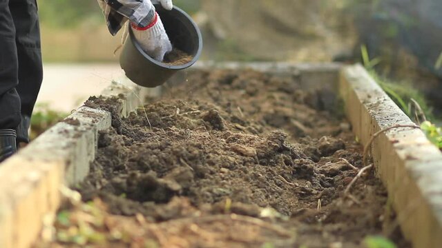 Gardener using compost to making a good soil for grow vegetable at home