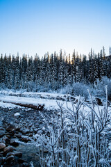 Beautiful winter landscape of Maligne River within Jasper National Park, Canada