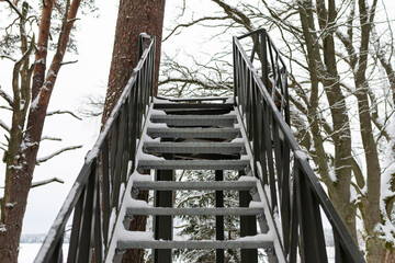 Obraz premium Stairs winter day outdoor nature snow footprint tree