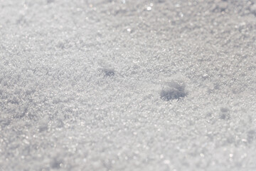 Texture of fallen snow after storm Filomena