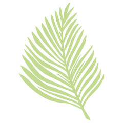 Tropical palm leaf isolated on white background. Abstract botanical element green color. Sketch in style doodle.