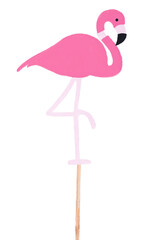  pink flamingo isolated on white