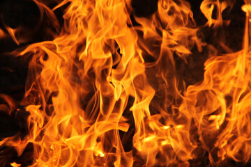 Fototapeta premium abstract blaze fire flame texture background.