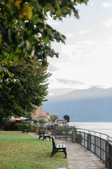 bench in the park