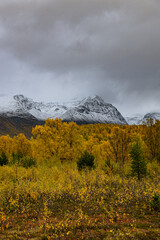 Valley of Kåfjorddalen with snow mountains