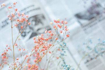 Dry flowers on the background of the newspaper, selective focus, spring mood