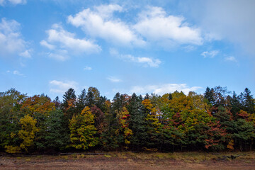 Fototapeta premium 秋の上士幌町糠平湖の紅葉の風景