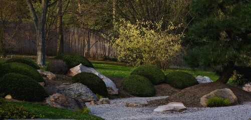 Japanese garden in early spring.
Gravel path, yellow flowering shrub in the background.