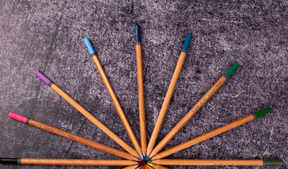 l&aacute;pices de color