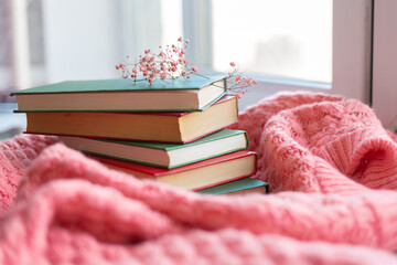 A stack of red and green books with dry flowers on a pink warm knitted sweater background