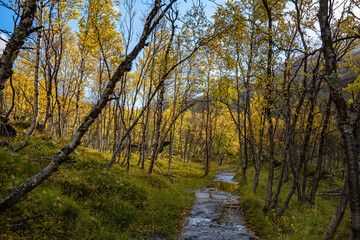 Hiking way with water on it