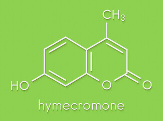 Hymecromone drug molecule. Skeletal formula.