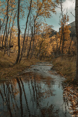 Hiking way with water on it