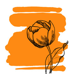 Hand Drawing Vector Tulip Lineart Illustration on Bright Yellow Orange Background