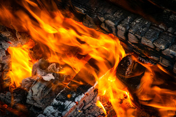 Fototapeta premium Fire creates infinity shapes when it burns. The orange from the flame and the black backgroud creates interesting textures. Flames from hell. Burning power.