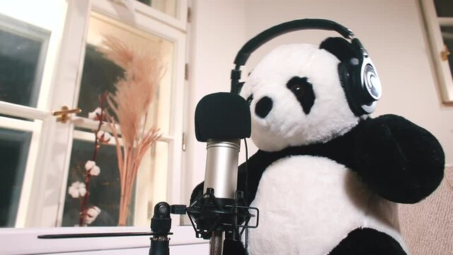 A soft toy panda moves in front of the microphone. Headphones fall from her head. Voice lesson during online singing course.