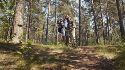 Obraz premium Happy couple seniors on hike with trekking poles standing in forest enjoying beautiful landscape