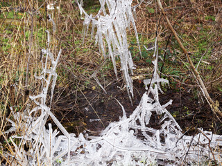 white icy branches with icicles close up