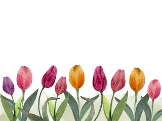 Hand Drawing Colorful Bright Watercolor Tulips Background Copyspace Frame