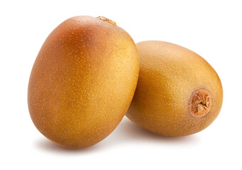 golden kiwi path isolated on white