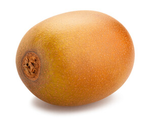 golden kiwi path isolated on white