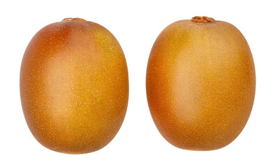 golden kiwi path isolated on white