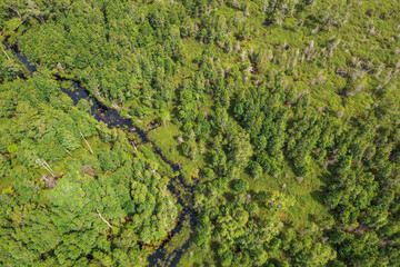 Aerial view of the Borneo rainforest at Klias Forest Reserve, Beaufort Sabah.