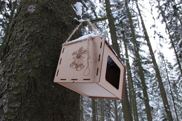 birdhouse on a tree