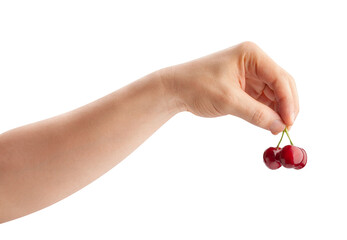 cherry in hand path isolated on white