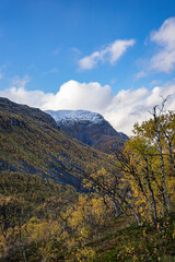 Yellow valley with snow mountains on the side near Skibotn in Norway