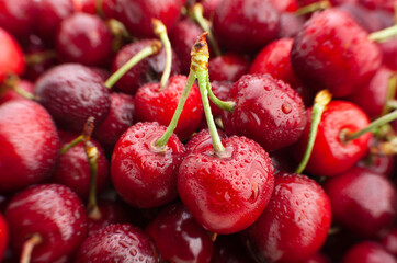 cherry focus macro detail closeup