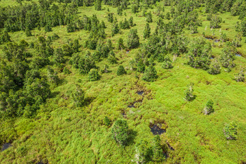Aerial view of the Borneo rainforest at Klias Forest Reserve, Beaufort Sabah.