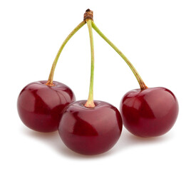 sour cherry path isolated on white