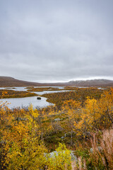 Viwe over a river landscape in Norway