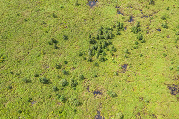 Aerial view of the Borneo rainforest at Klias Forest Reserve, Beaufort Sabah.