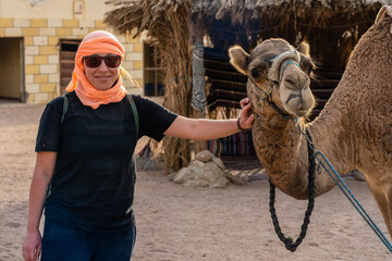 Woman with traditional bedouin head scarf stroking camel