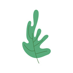 green color leave nature icon