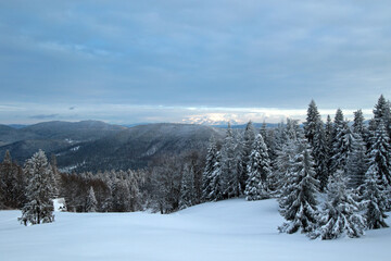 Winter landscape of Zywiec Beskids, near Rysianka peak, Poland