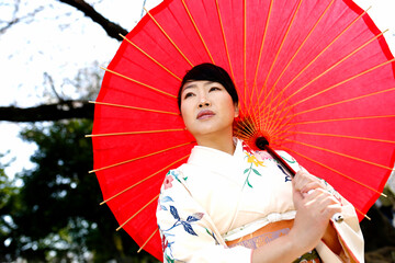 Kimono woman and cherry blossoms