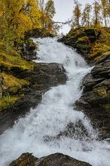 Waterfall with yellwo trees on the side