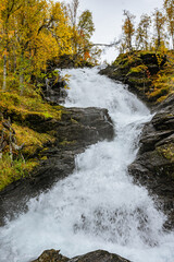 Waterfall with yellwo trees on the side