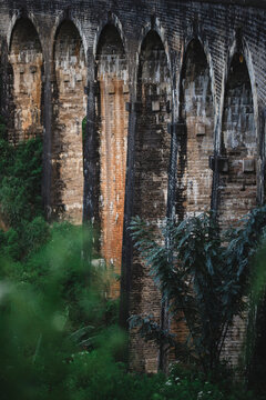 Sri Lanka, Ella. January 2020. Nine Arch Bridge. Vertical frame. © pridneprovskiy