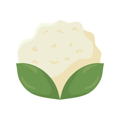 cauliflower vegetable healthy food icon