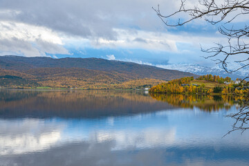 Shore from a lake with trees in the foreground